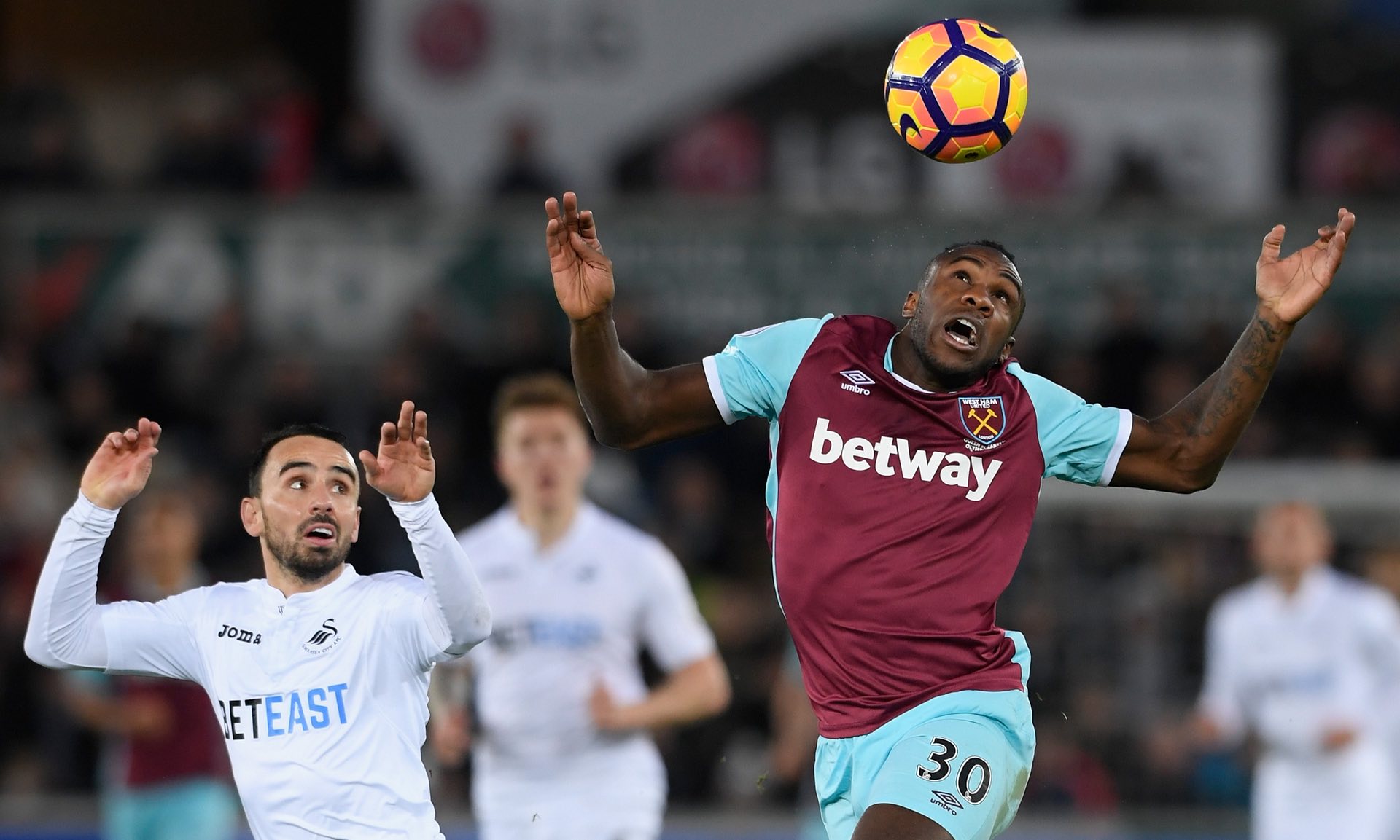 道格拉斯 道格拉斯